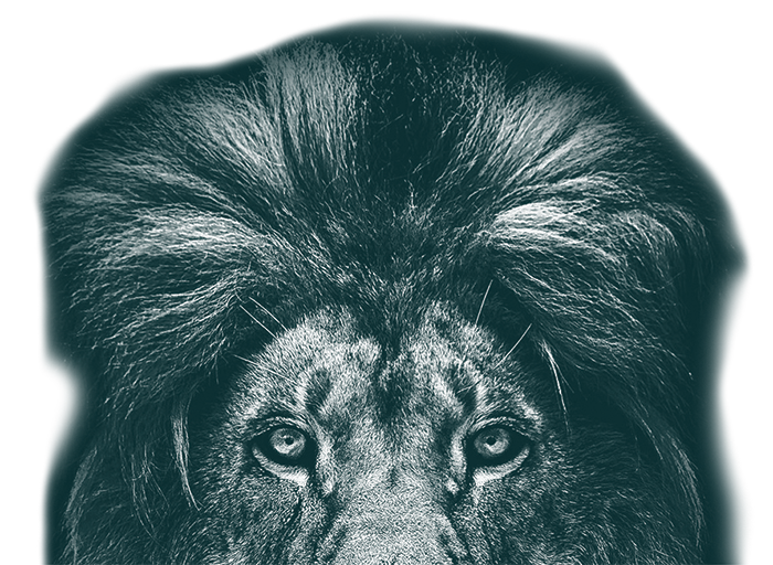 BraveGen Lion