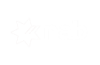 nab-white-logo