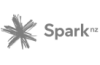 spark-logo
